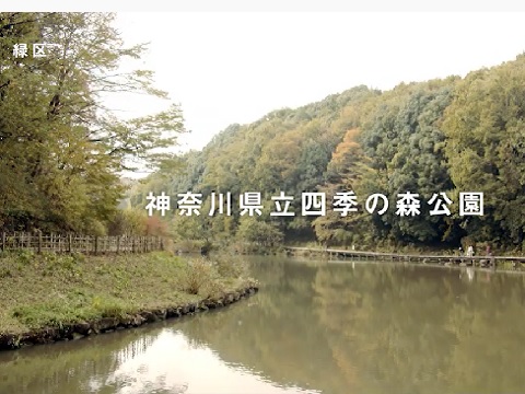 『神奈川県横浜市緑区』の動画を楽しもう！